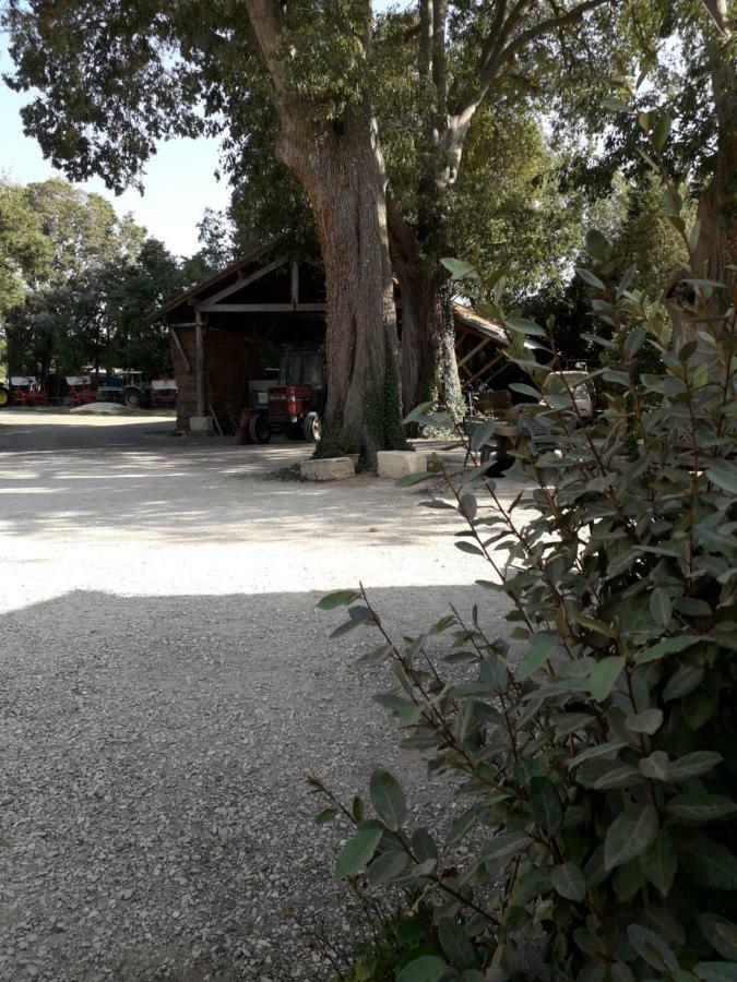 Le Rebattu 3 Appartamento Raphèle Esterno foto
